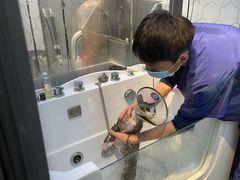 -萌兽医馆·眼科·异宠专科(三里屯店)