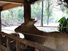 -长鹿旅游休博园