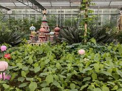 -南宫五洲植物乐园