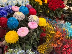 -越秀西湖花市(广州城市广场花卉店)