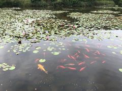 -白马涧龙池景区