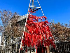 -帽儿山国家森林公园