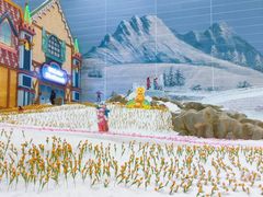 -广州热雪奇迹