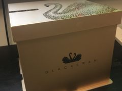 -BLACKSWAN黑天鹅(环球店)