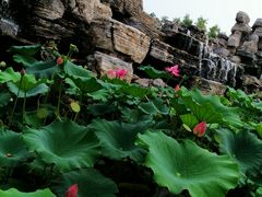 -南戴河国际娱乐中心