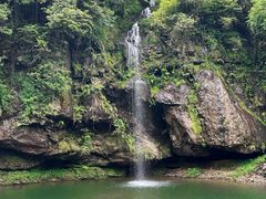 -龙苍沟森林公园