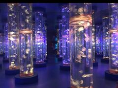 -梦幻海洋王国(吾悦广场张家港店)