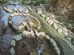 -成都市活水公园