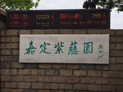 -嘉定紫藤园