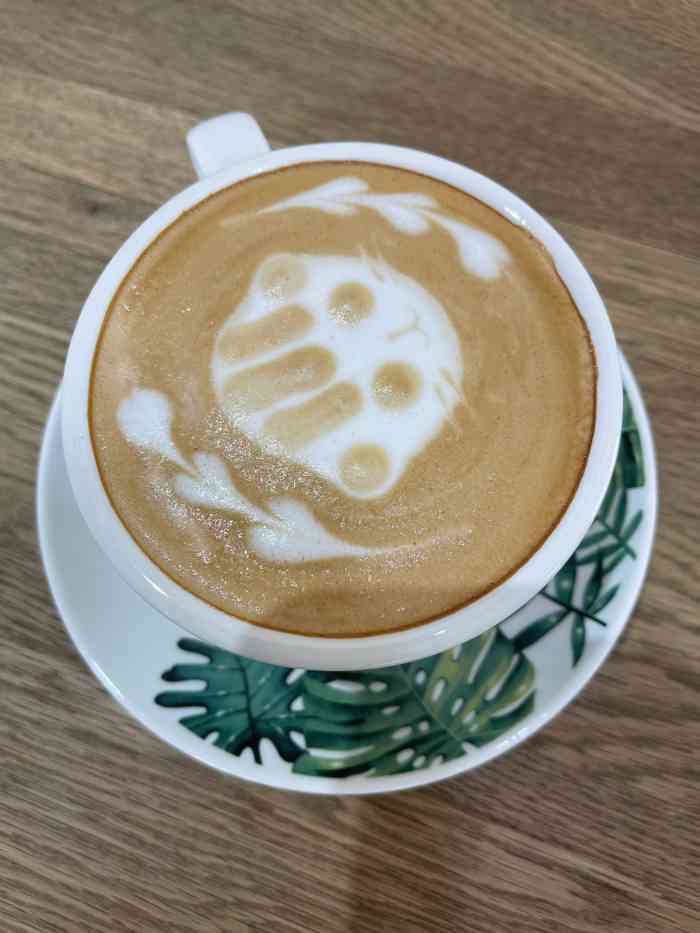 懒猫咖啡(宽厚里一店)-"这家店太适合喵星人和猫猫控们在里面消磨时.