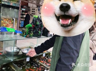 饲料8块钱一包感觉能喂半年