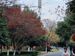 -杭州城北体育公园