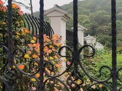 -龙寺生态园