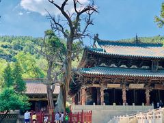 -晋祠公园