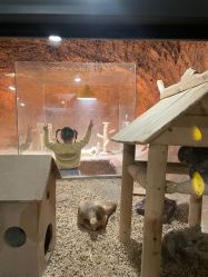 -酷嗒动物文化乐园(cutezoo西溪乐天城店)