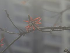 -重庆彩云湖湿地公园