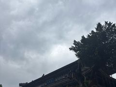 -粤晖园
