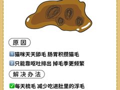 -睿金宠物医院·CT·肿瘤·骨外科