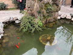 -胡氏古民居建筑