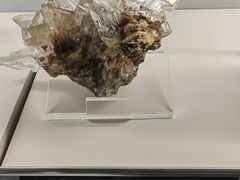 -中国地质博物馆