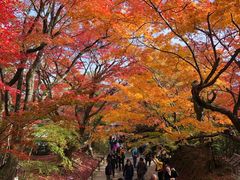 -常寂光寺