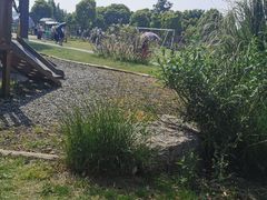 -田园东方蜜桃村的田野营地