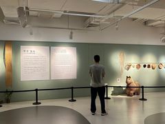 -北京大学赛克勒考古与艺术博物馆
