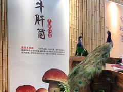 -大理董·董家小厨野生菌火锅(古城旗舰店)