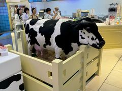 -红星前进面包牛奶公司(君太店)