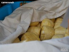 玉米高庄馒头-东伊顺(高银街店)