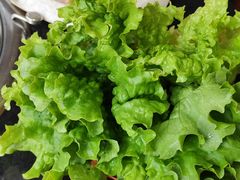 -朴贞子·高丽轩(二拨子店)