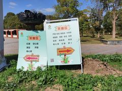 -上海都市菜园