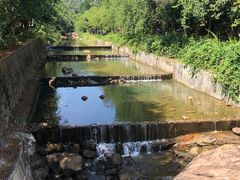 -广州白江湖森林公园