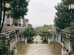 -铁山坪森林公园