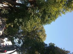 android_upload_pic-练塘古镇