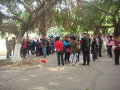 相亲角-白鹭洲公园