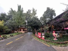 -土灶人家柴火鸡(都江堰店)