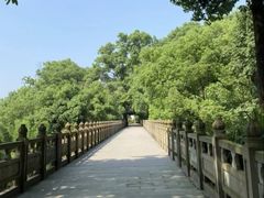 -南山植物园