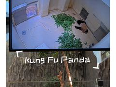 -香港海洋公园