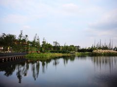 -三圣花乡旅游区