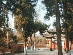 -太原动物园