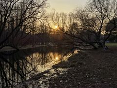 -上海共青森林公园