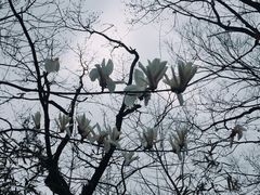 -玉女潭景区