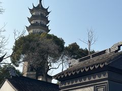 -苏州上方山国家森林公园