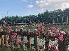 -揭东万竹园旅游景区