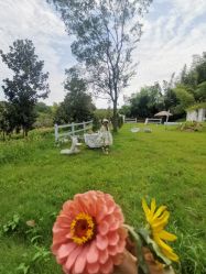 -莫奈庄园·儿童摄影馆·影视基地(江宁店)