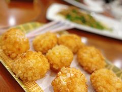 -丁老爷子苏香圆