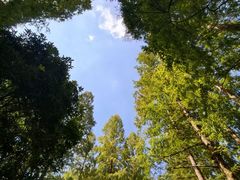 -五泄景区