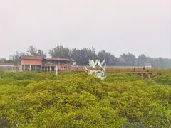 -北海金海湾红树林生态旅游区