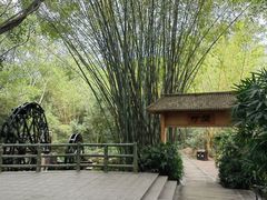 -大屏嶂森林公园